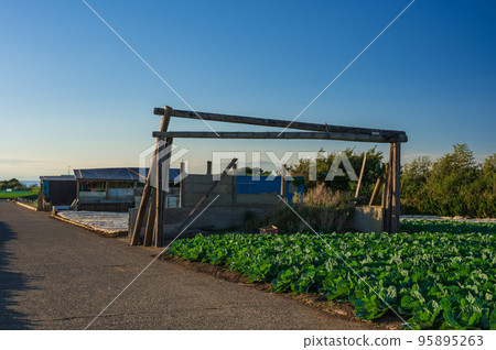 Scenery of Hatsuse Town Rural Scenery Farmland of Miura Peninsula 95895263