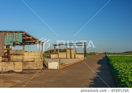 Scenery of Hatsuse Town Rural Scenery Farmland of Miura Peninsula Scenery of Hatsuse Town Rural Scenery Farmland of Miura Peninsula 95895266