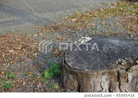 Stubble Stubble 95895416