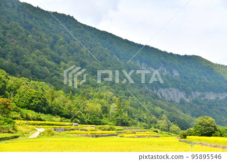 東部石垣田（新潟縣津南町）[2022年9月] 95895546