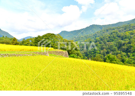 東部石垣田（新潟縣津南町）[2022年9月] 95895548