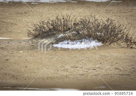 Terrain created by sandstorms 95895714