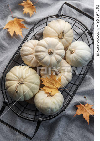 White pumpkins and autumn leaves 95897583