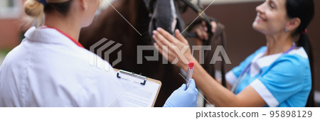Two veterinarians conduct medical examination of thoroughbred horse Two veterinarians conduct medical examination of thoroughbred horse 95898129