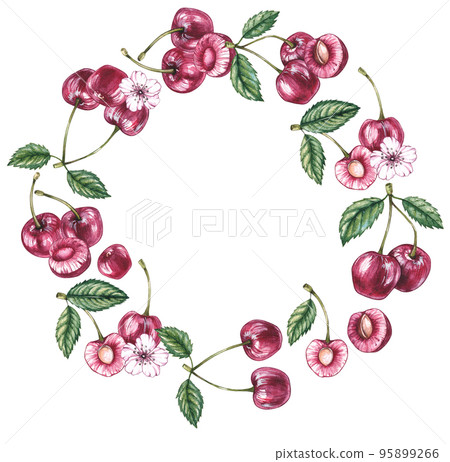 Watercolor cherry frame on a white background Watercolor cherry frame on a white background 95899266