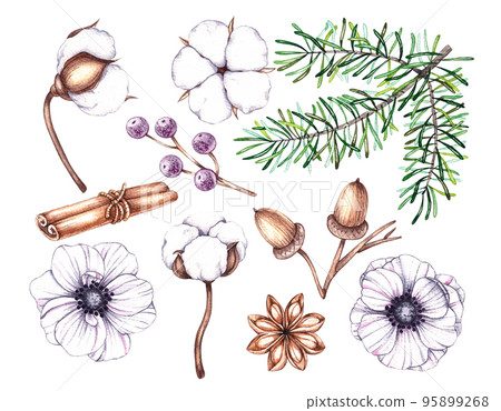 Watercolor Christmas plants set of light shades Watercolor Christmas plants set of light shades 95899268