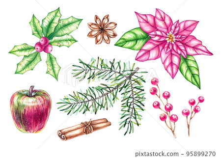 Watercolor Christmas plants set pink shade Watercolor Christmas plants set pink shade 95899270