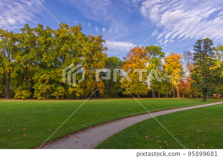 Colorful and vivid autumn colors and bright blue sky in the park 95899681
