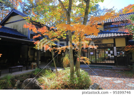 秋寒地獄（冷泉、溫泉、九重町） 95899746