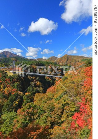Kokonoe Yume Grand Suspension Bridge in autumn (vertical composition) Kokonoe Yume Grand Suspension Bridge in autumn (vertical composition) 95899767