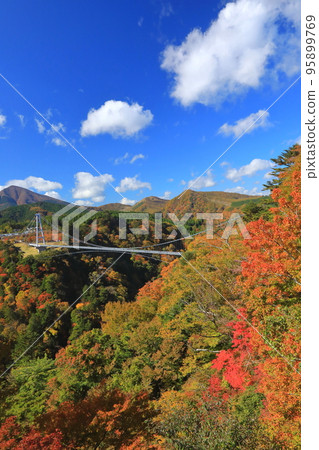 Kokonoe Yume Grand Suspension Bridge in autumn (vertical composition) 95899769