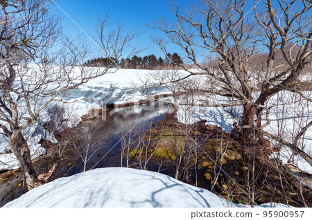 [Hakkoda Yamanaka, Aomori Prefecture] Gudari Swamp is a mysterious swamp that is thought to have been caused by the melted water of Hakkoda becoming underground water. 95900957