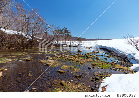 [Hakkoda Yamanaka, Aomori Prefecture] Gudari Swamp is a mysterious swamp that is thought to have been caused by the melted water of Hakkoda becoming underground water. 95900958