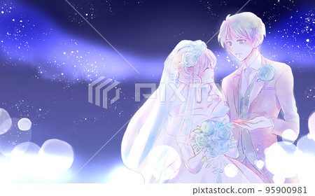 Wedding bride and groom night sky 95900981