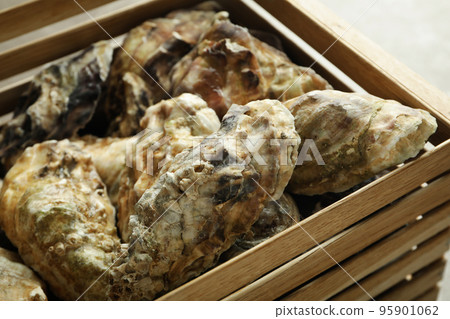 Concept of delicious seafood, oysters, close up Concept of delicious seafood, oysters, close up 95901062