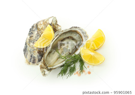 Concept of delicious seafood, oyster, isolated on white background Concept of delicious seafood, oyster, isolated on white background 95901065