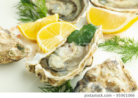 Concept of delicious seafood, oysters, close up Concept of delicious seafood, oysters, close up 95901066