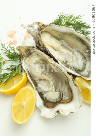 Concept of delicious seafood, oysters, close up Concept of delicious seafood, oysters, close up 95901067