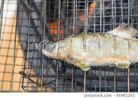 [Salt-grilling farmed ayu using embers at the auto campsite] 95901283