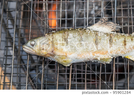 [Salt-grilling farmed ayu using embers at the auto campsite] 95901284