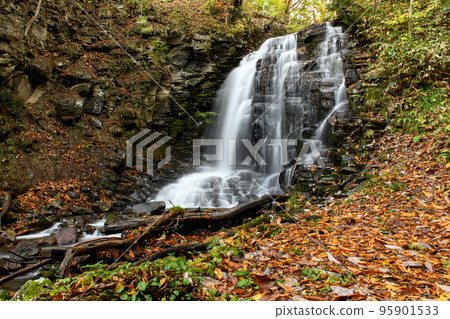 落葉環繞的錦見瀑布秋田縣和野市 95901533