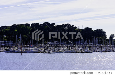 Vintage architecture and harbor in Saint-Malo 95901835