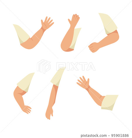 Little Boy Arms and Hand Constructor in Sleeve Vector Set Little Boy Arms and Hand Constructor in Sleeve Vector Set 95901886