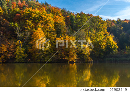 Autumn morning at lake Thal near Graz, Styria region, Austria Autumn morning at lake Thal near Graz, Styria region, Austria 95902349