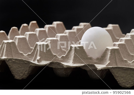 One egg in an egg carton tray on dark background 95902566