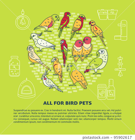 Pet shop round concept banner with parrot icons in line style Pet shop round concept banner with parrot icons in line style 95902617