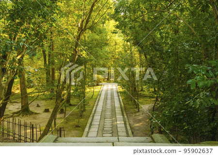 A small path surrounded by fresh greenery -- Toshodaiji Temple in Nara -- A small path surrounded by fresh greenery -- Toshodaiji Temple in Nara -- 95902637