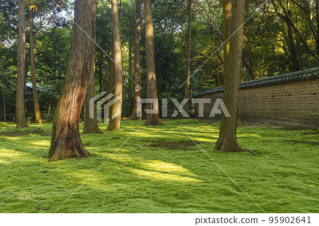 Nara City Toshodaiji Temple Ganjin Wajo Mausoleum Moss Garden Nara City Toshodaiji Temple Ganjin Wajo Mausoleum Moss Garden 95902641