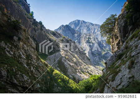 Mountain landscape, Picos de Europa, Asturias, Spain 95902681
