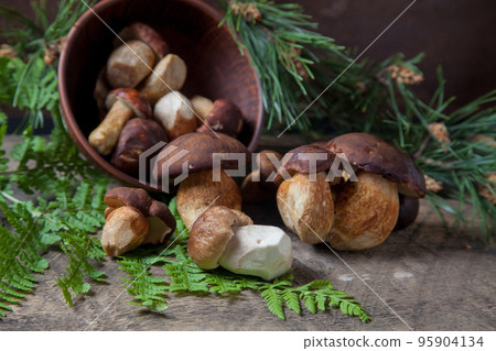 Imleria Badia or Boletus badius mushrooms commonly known as the bay bolete and Porcini mushroom commonly known as Boletus Edulis, clay bowl with mushrooms on vintage wooden background.. 95904134