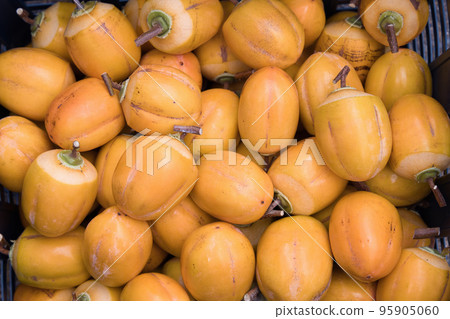 很多西條柿子乾柿子 95905060