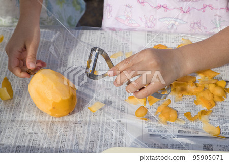 Making dried persimmons Girls peeling Saijo persimmons Making dried persimmons Girls peeling Saijo persimmons 95905071