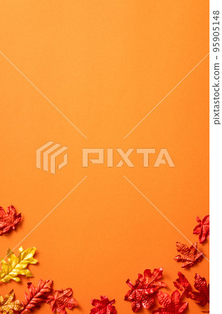 beautiful maple leaf background autumn fall Maple leaf メープルリーフ Autumn leaves beautiful maple leaf background autumn fall Maple leaf メープルリーフ Autumn leaves 95905148