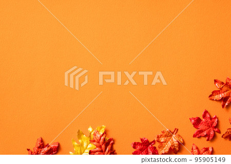 beautiful maple leaf background autumn fall Maple leaf メープルリーフ Autumn leaves beautiful maple leaf background autumn fall Maple leaf メープルリーフ Autumn leaves 95905149