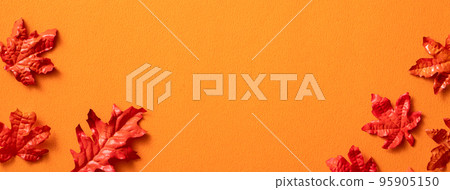 beautiful maple leaf background autumn fall Maple leaf メープルリーフ Autumn leaves beautiful maple leaf background autumn fall Maple leaf メープルリーフ Autumn leaves 95905150