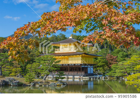Kinkakuji in autumn weather 95905586