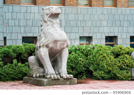 traditional Japanese statue of a stone lion at the entrance to the Sakhalin Museum of Local Lore traditional Japanese statue of a stone lion at the entrance to the Sakhalin Museum of Local Lore 95906908