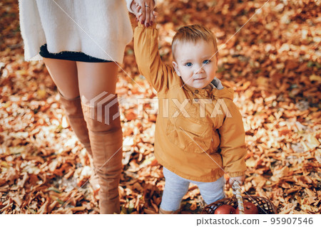 Family have fun in a autumn park. Cute blode in a white sweater. Mother with little son Family have fun in a autumn park. Cute blode in a white sweater. Mother with little son 95907546