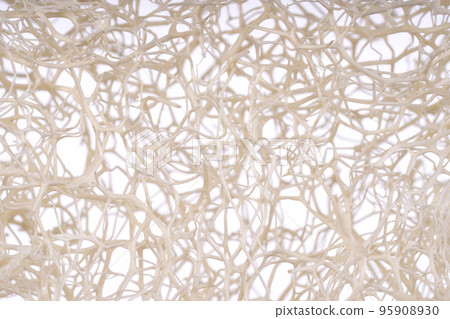 Luffa sponge close up isolated texture with selective focus. Loofah sponge, fiber scrubber, cleansing beauty product. 95908930