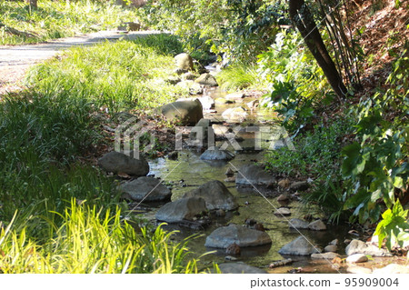 creek on a warm day creek on a warm day 95909004