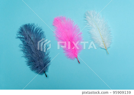 Multicolored feathers on a blue background. Pink, gray, white feathers. 95909139