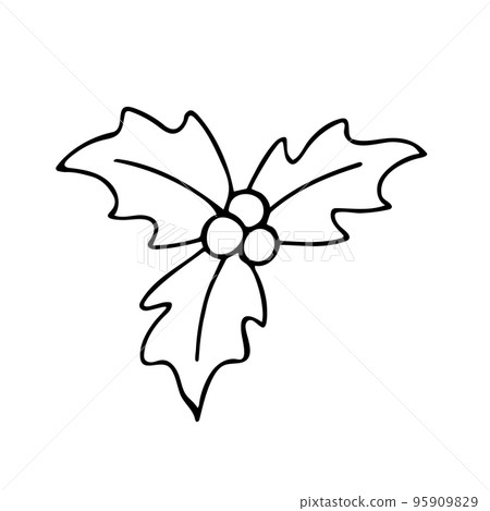 Doodle of holly leaves and berries. Doodle of holly leaves and berries. 95909829
