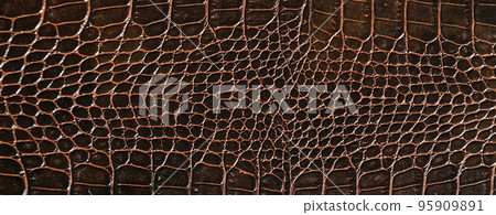 Very luxurious brown crocodile skin texture used in textile industry 95909891