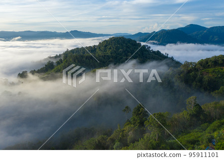 aerial view scenery sunrise above the mountain in tropical rainforest. slow floating fog blowing cover on the mountain look like as a sea of mist. beautiful sunrise in the mist background. aerial view scenery sunrise above the mountain in tropical rainforest. slow floating fog blowing cover on the mountain look like as a sea of mist. beautiful sunrise in the mist background. 95911101