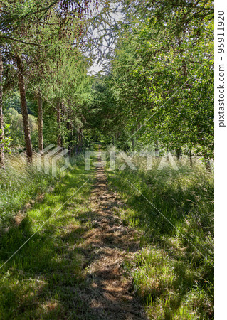 Walk in the French countryside Walk in the French countryside 95911920