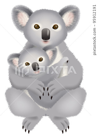 Illustration of a koala 95912191